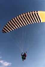 Condor Tornado